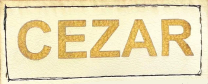 507f425ff870af9b5d3a3be4f240c275
