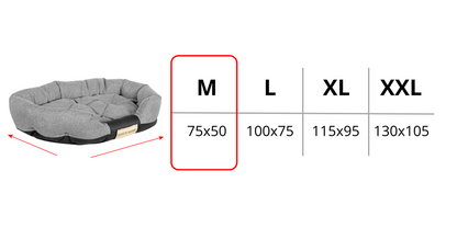 5295e0c1b0aa0b96bb09f70d245450f1