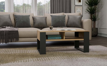 Couchtisch ARTISAN Modern 2P Anthrazit