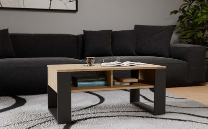 Couchtisch ARTISAN Modern 2P Anthrazit